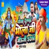 About Dhokha Delkai Bhola Ji Maugi SDM Song